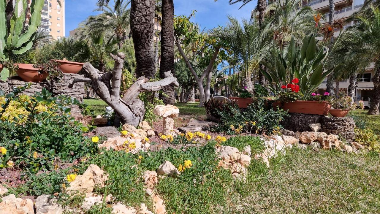 Apartament Palm Beach-El Palmeral Τορεβιέχα Εξωτερικό φωτογραφία